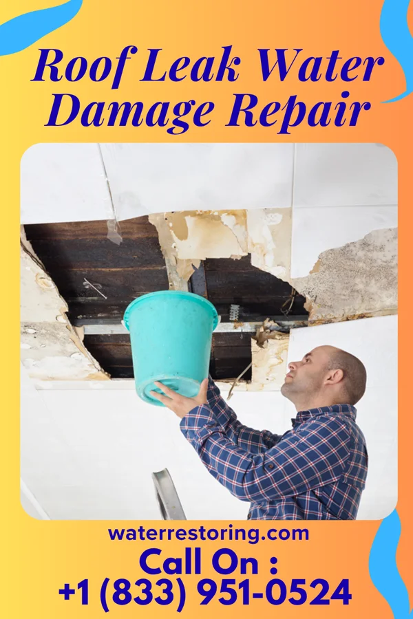 Roof Leak Water Damage Repair in Gainesville, FL